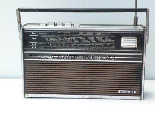 City-Boy 1000; Grundig Radio- (ID = 1675732) Radio