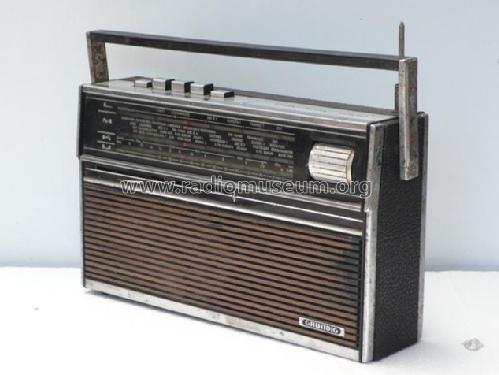 City-Boy 1000; Grundig Radio- (ID = 1675733) Radio