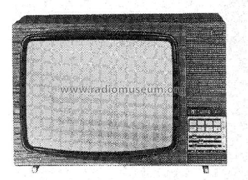 Color 3010; Grundig Radio- (ID = 2103227) Television