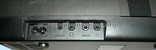 CR110; Grundig Radio- (ID = 369302) Reg-Riprod