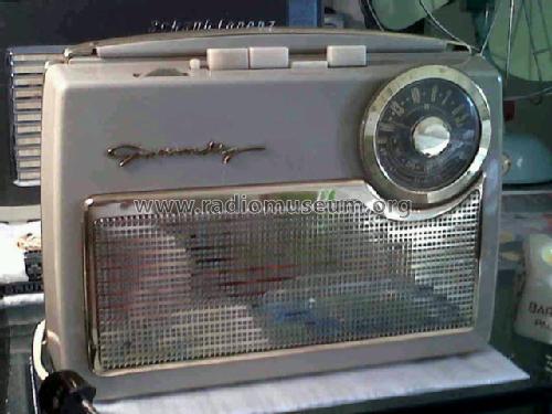 Drucktasten-Boy 53; Grundig Radio- (ID = 1036433) Radio