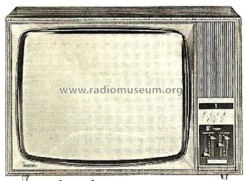 Electronic T7019; Grundig Radio- (ID = 1550982) Television