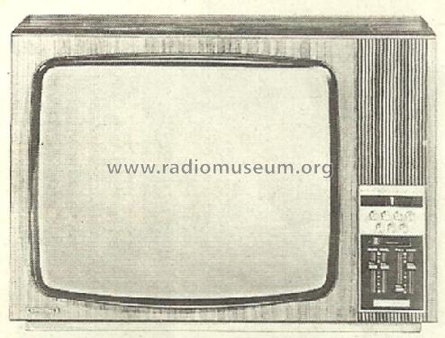 Electronic T7028; Grundig Radio- (ID = 1550995) Television