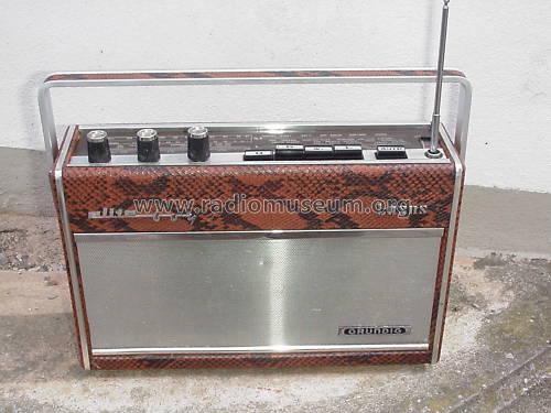 Elite-Boy Luxus 205L; Grundig Radio- (ID = 799009) Radio