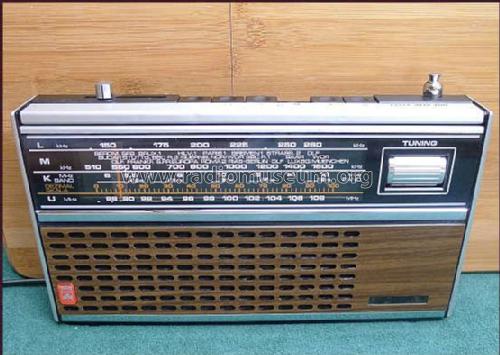 Elite-Boy 700; Grundig Radio- (ID = 2130760) Radio