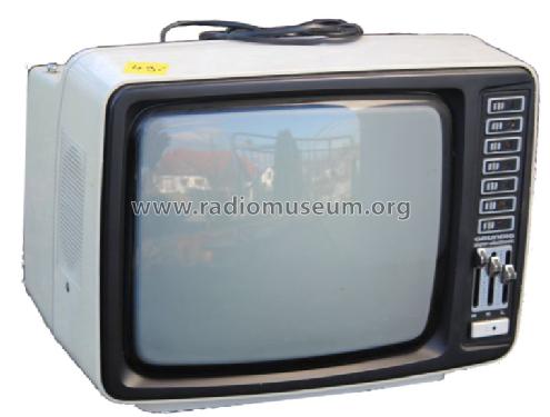 Exclusiv 1451; Grundig Radio- (ID = 1598195) Télévision