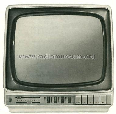 Fernseh-Boy Triumph 1210; Grundig Radio- (ID = 521405) Television