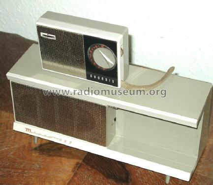 Micro-Boy Heimlautsprecher ; Grundig Radio- (ID = 2314500) Parlante
