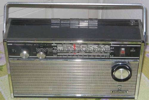 Music-Boy de Luxe 205; Grundig Radio- (ID = 165517) Radio