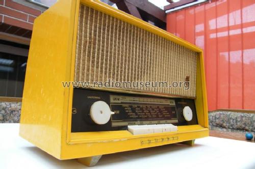 Musikgerät 96; Grundig Radio- (ID = 923560) Radio