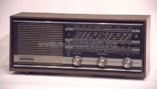 Musikgerät RF110a; Grundig Radio- (ID = 1095200) Radio