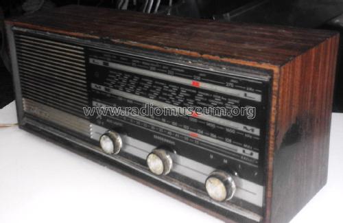 Musikgerät RF110a; Grundig Radio- (ID = 2152654) Radio