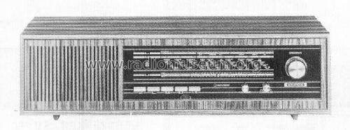 Musikgerät RF116 Ch= CS60; Grundig Radio- (ID = 98820) Radio