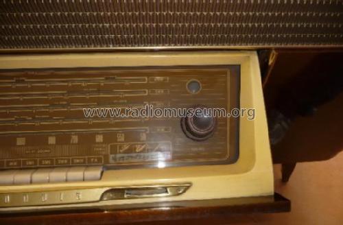 Musical Instrument 8090WFE/3D; Grundig Radio- (ID = 1549696) Radio