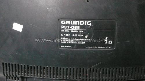 P37-065 Ch= G1000; Grundig Radio- (ID = 1624728) Television