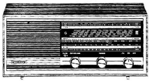 RF110; Grundig Radio- (ID = 1542929) Radio