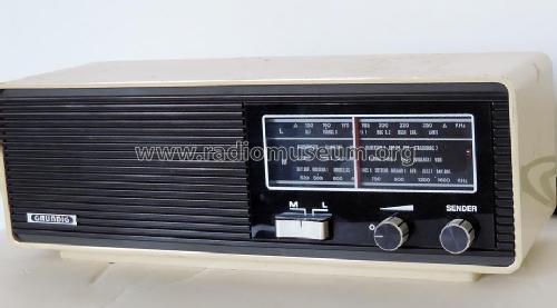 RF21; Grundig Radio- (ID = 1817980) Radio