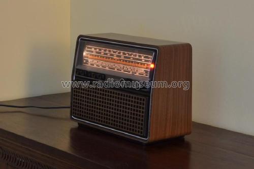 RF-440 Ch= RC-440; Grundig Radio- (ID = 1352159) Radio