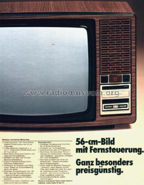 Super Color 2225; Grundig Radio- (ID = 2334624) Television