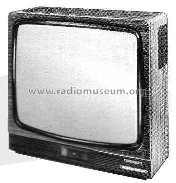 Super Color 8051; Grundig Radio- (ID = 2078653) Television