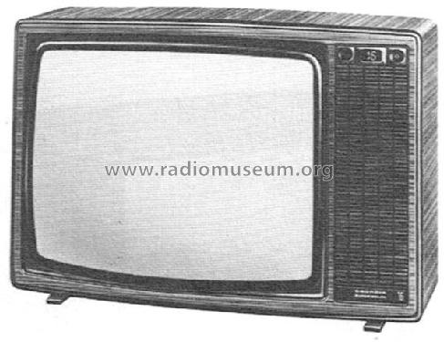 Super Color 8140; Grundig Radio- (ID = 1783653) Television