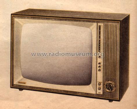 T305F; Grundig Radio- (ID = 1095298) Television