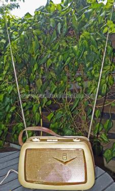 Teddy-Boy ; Grundig Radio- (ID = 2931606) Radio