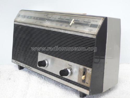 Transonette 75; Grundig Radio- (ID = 1660477) Radio