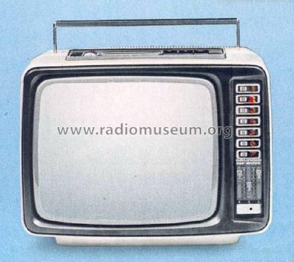 Triumph 1426UM; Grundig Radio- (ID = 1758903) TV Radio