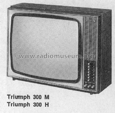 Triumph 300M/H Chassisplatte 074; Grundig Radio- (ID = 1563678) Television