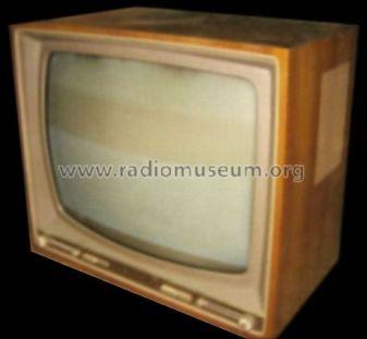 Zauberspiegel 59T100; Grundig Radio- (ID = 751937) Television