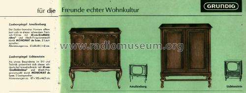 Zauberspiegel Lichtenstein ; Grundig Radio- (ID = 2139111) Television