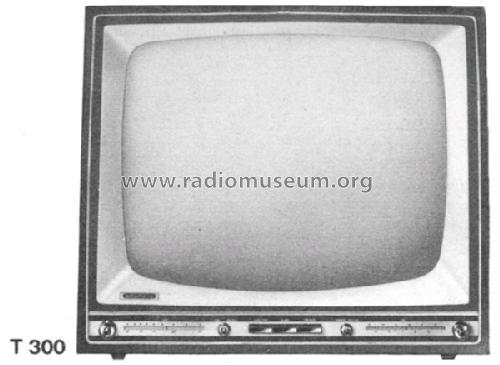 Zauberspiegel T300; Grundig Radio- (ID = 325019) Fernseh-E