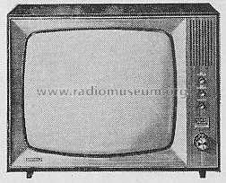 Zauberspiegel T605; Grundig Radio- (ID = 290802) Television