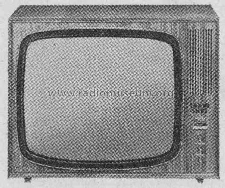 Zauberspiegel T768; Grundig Radio- (ID = 300952) Television