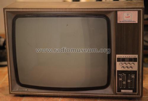 Electronic T7019; Grundig Radio- (ID = 3105033) Television