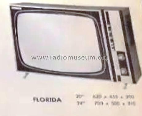 Florida 20'; Guibernau, Salvador; (ID = 2553264) Televisión