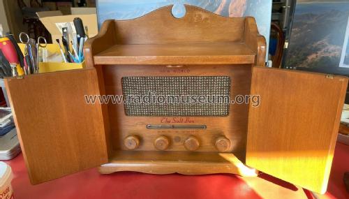 The Salt Box Wood Table Radio; Guild Radio & (ID = 3102320) Radio