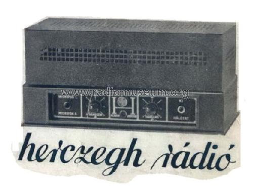 Audio Amplifier 16 W; Herczegh Rádió; (ID = 689113) Ampl/Mixer