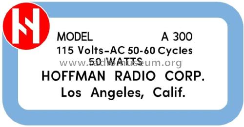 A300 Ch= 100 & 100S; Hoffman Radio Corp.; (ID = 2932350) Radio