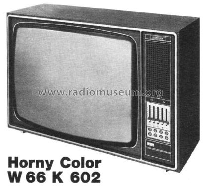 Funkberater Exclusiv W66K602 /50 /55 Ch= K9; Horny Hornyphon; (ID = 1882362) Television