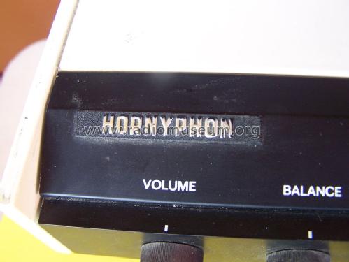 Sound Projekt TA4000 DX5732 Ch= ZU5G; Horny Hornyphon; (ID = 1122325) Radio