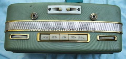 TRV1001UKW; Ingelen, (ID = 340028) Radio