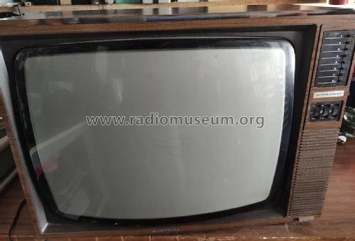 Grundig Super Color A6100E ; Inter Electrónica, S (ID = 3088100) Television