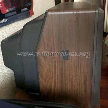 Grundig Super Color T51-240E ; Inter Electrónica, S (ID = 3088434) Television