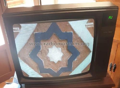 Grundig Super Color T66-240E ; Inter Electrónica, S (ID = 3088302) Television