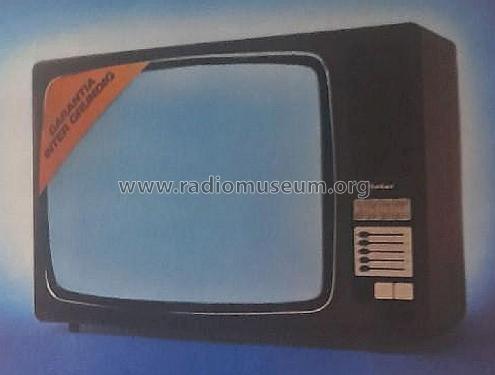 Inter-Grundig TVC-466; Inter Electrónica, S (ID = 3102839) Television