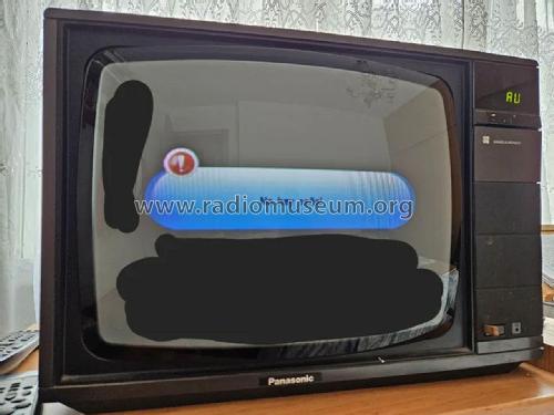 Panasonic TC-205 ER ; Inter Electrónica, S (ID = 3087618) Television