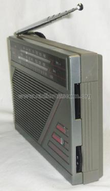 MW/UKW Tragbares Transistor Radio TR-20; Intersound brand (ID = 2002001) Radio