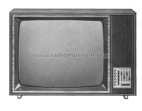 Electronic 1003 Ch= 5861 09 01; ITT Schaub-Lorenz (ID = 3089221) Television